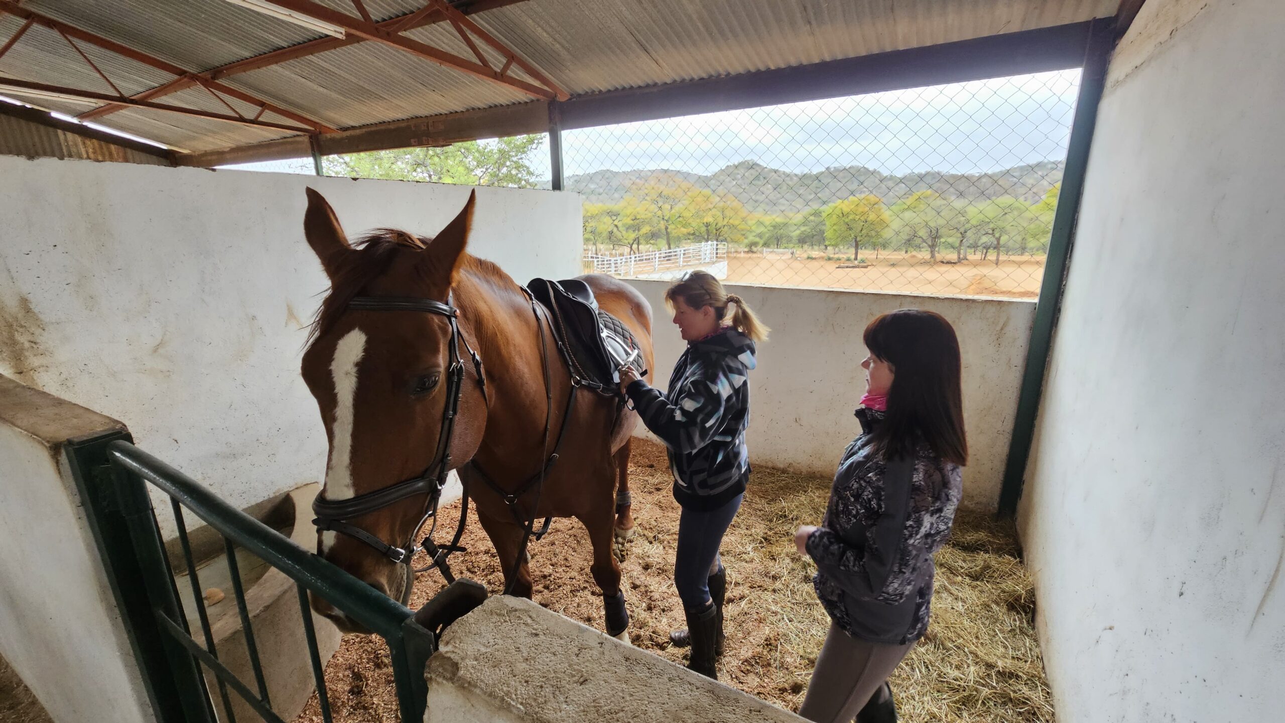 Saddle Up for Conservation: Volunteer Horse Safaris in Zimbabwe